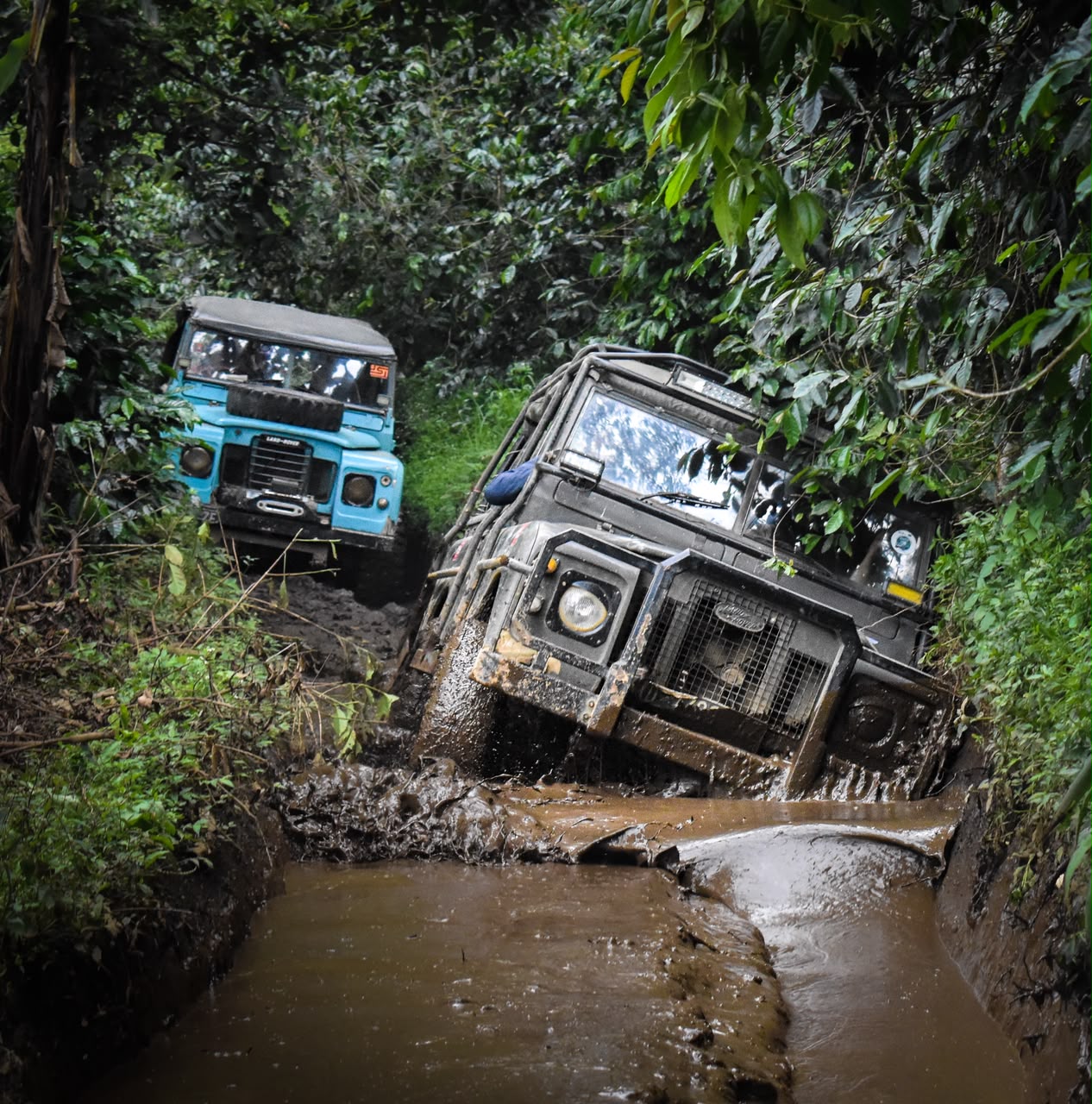 landy